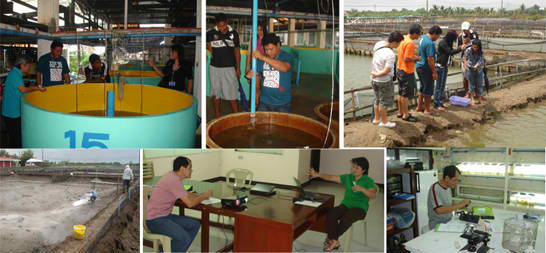 aquaculture training