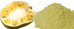 jackfruit powder