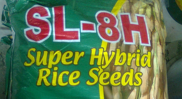 SL-8H Rice