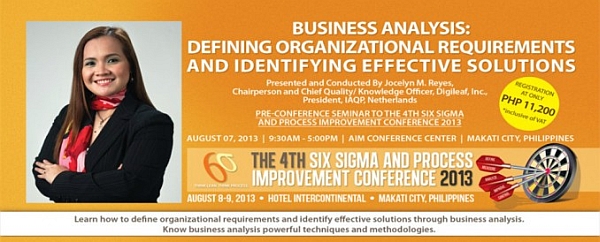 Business-Analysis seminar 2013