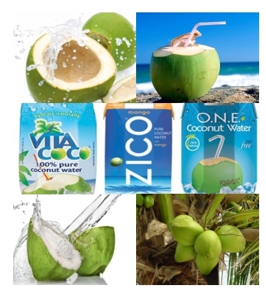 Coconut Processing Technology: Young Coconut Water 1