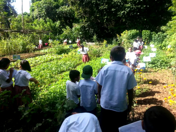 58 “lighthouse” schools put up by International Institute for Rural Reconstruction, proves gardening eliminates malnutrition in Region 4A public schoolchildren 1