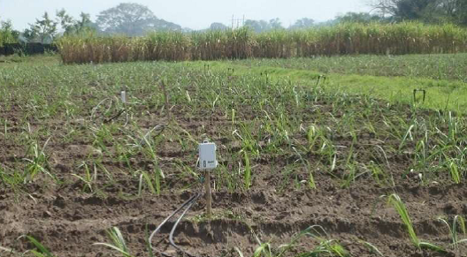 Automatic Weather Station installed in Pampanga to boost sugarcane irrigation, raise yield 2