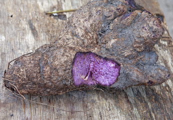 Value Added Products from Ube (Purple Yam) 1