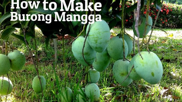 How to Make Burong Mangga 1