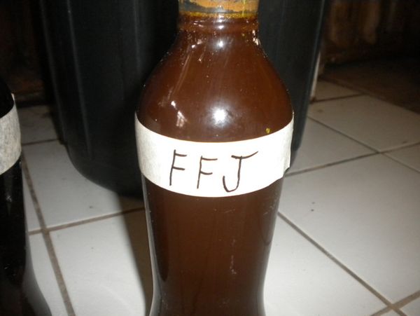 How to Make Fermented Fruit Juice or FFJ 1