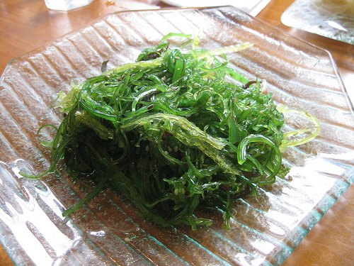 seaweed  photo
