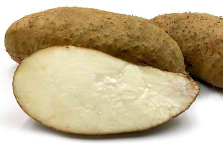 Amazing Apali: The lesser yam with great potential 1