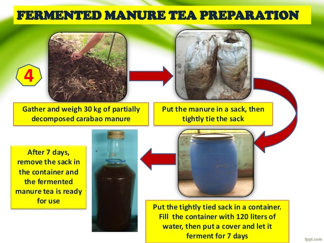 tea manure