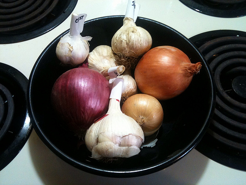 onion and garlic photo