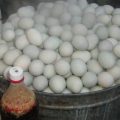 How to Start a Balut Making Business 3