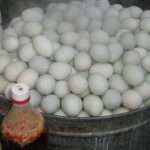 How to Start a Balut Making Business 1