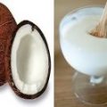 How to Make Coco Milk Yogurt 3