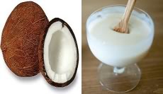 coconut milk yogurt