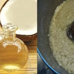 How to Make Cooking Oil and Cheese from Coconut Milk 6
