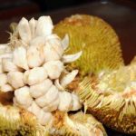 A taste of the exotic marang 2