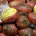 Paratungon: An underutilized fruit with great economic potential 3