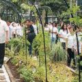 Japanese entity adopted BAR’s Edible Landscaping program that encourages households to plant organic vegetable, raise food security 4