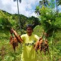 Pat the Carrot Queen: From a plain housewife to a profit-earning farmer 4