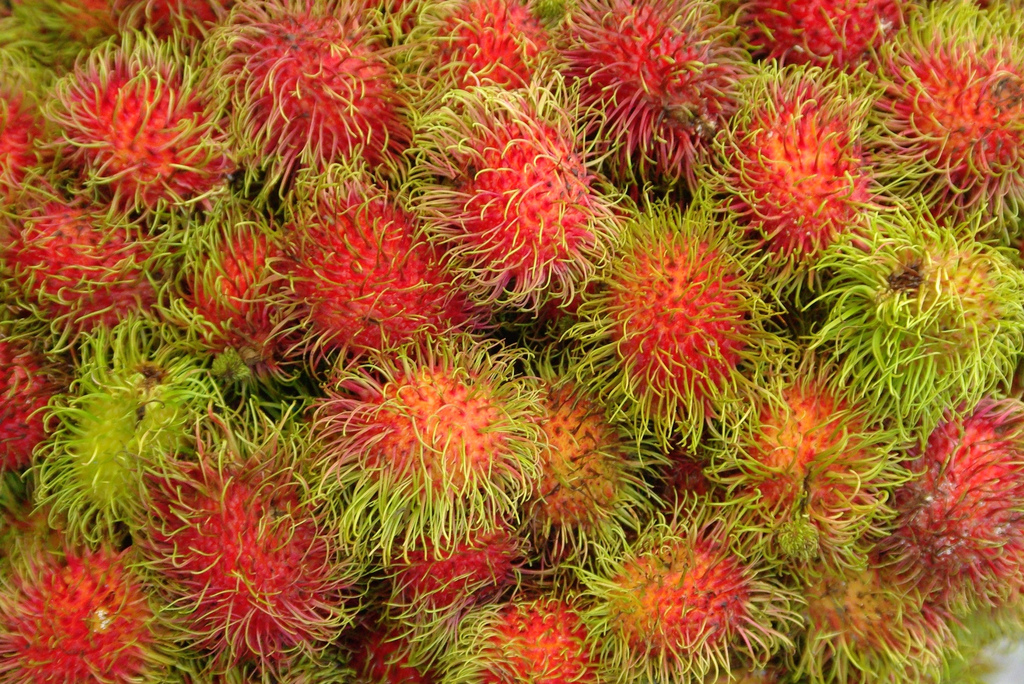 rambutan