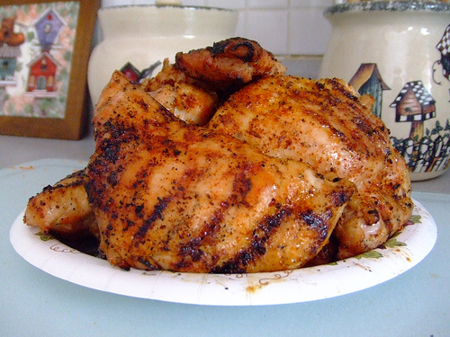 grilled chicken photo