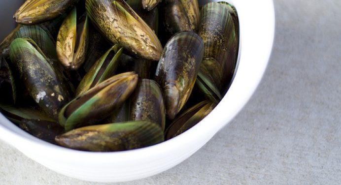 The Pinoy “Longline”: An innovative and sustainable way to grow green mussels