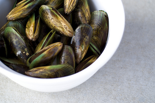green mussels photo