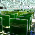 Big plans underway for a Philippine microalgae industry 3
