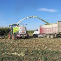 Corn silage production as an enterprise 4