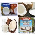 How to Process Coconut Milk 5
