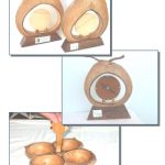 Wares and Novelty Items from Coconut Fruit Residues 5