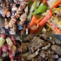 Pinoy Best Food Recipes 2