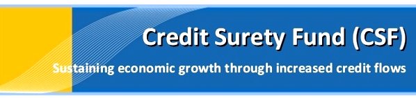 Credit Surety Fund