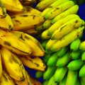 Value Added Products from Banana (Food Business) 2
