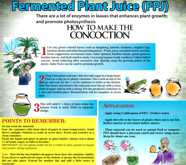 fermented plant juice