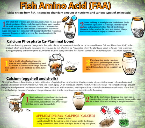 fish amino acid