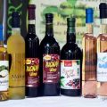 Fruit winemaking in Cagayan Valley gets much needed boost 2