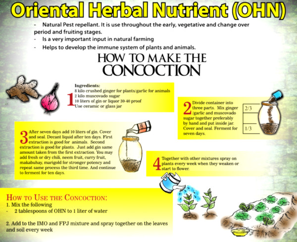 oriental herbal nutrient