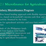 Agri-Fishery Microfinance Program (AFMP) 1
