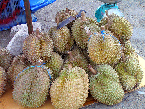 durian photo