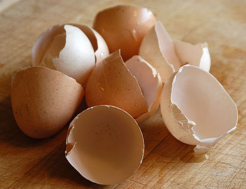 eggshells photo