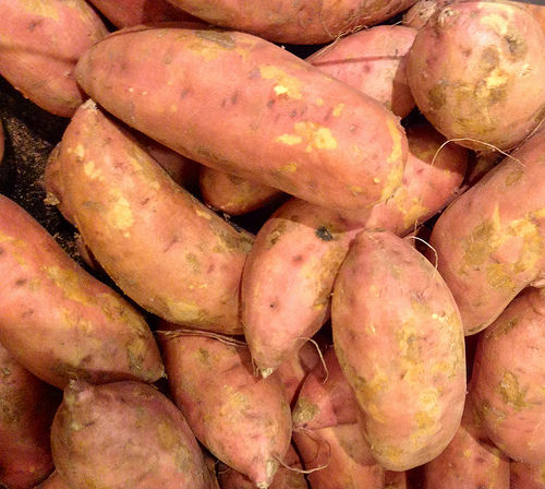 sweet potato photo