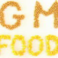 FDA will not require labeling of GM food as it has no difference from conventional food, is neither cancer-causing, and has been found safe to human 2