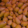 The Mango Processing Industry an Overview 2
