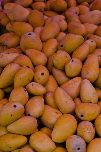 mango processing photo