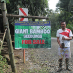 Govt awarded 30 enterprising groups that advanced nature preservation and promoted industries and jobs in bamboo, Falcata, talaba, tikog, “liyang” 1