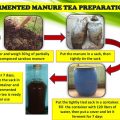 How to Make Tea Manure (Organic Fertilizer) 4