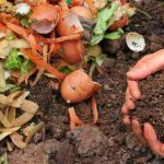 How to Make Compost in Three Weeks 1