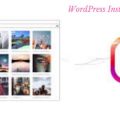 Why Businesses Must Make the Most of Instagram & WordPress Plugins 1
