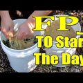 How to Make Fermented Plant Juice or FPJ 7